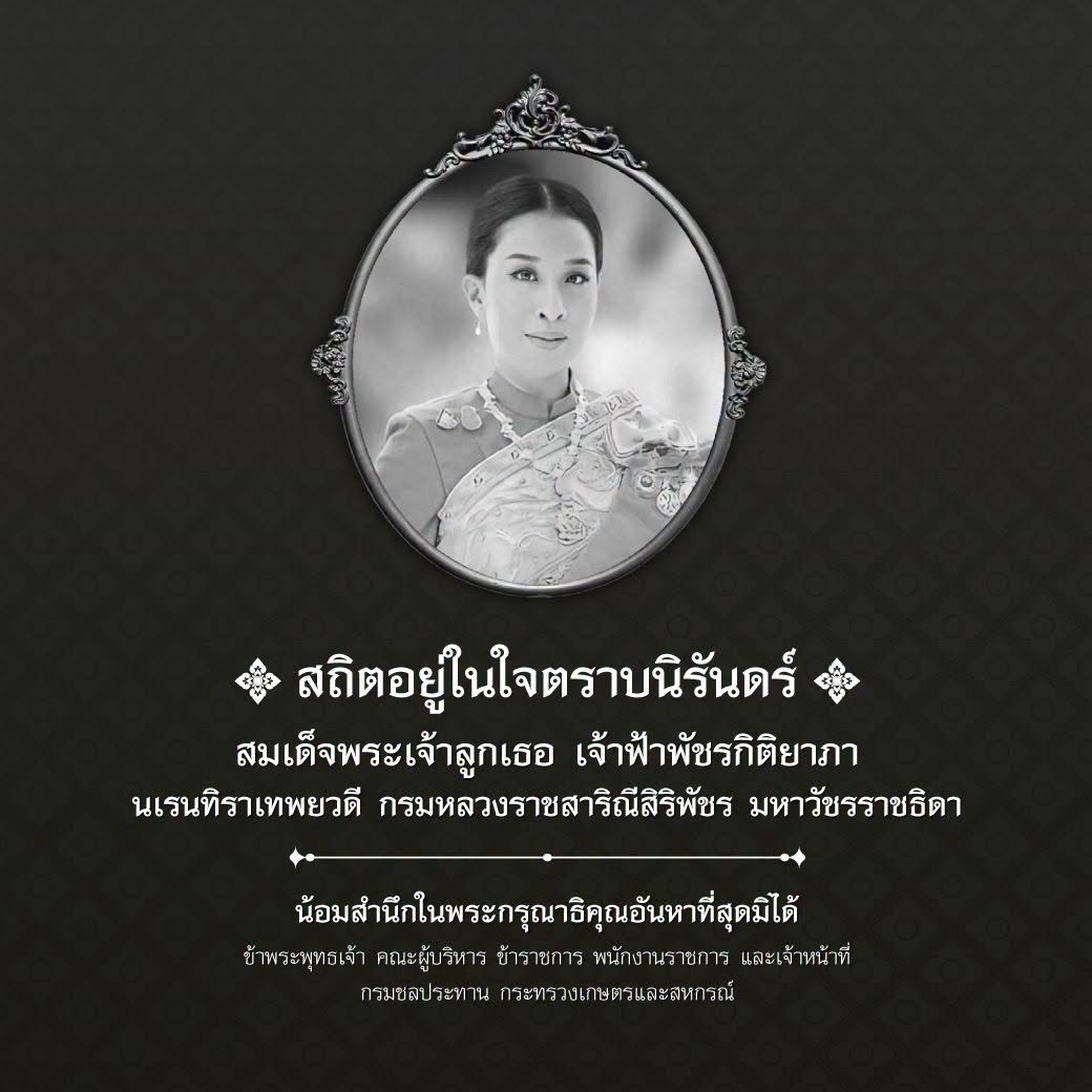 พระบรมฉายาลักษณ์